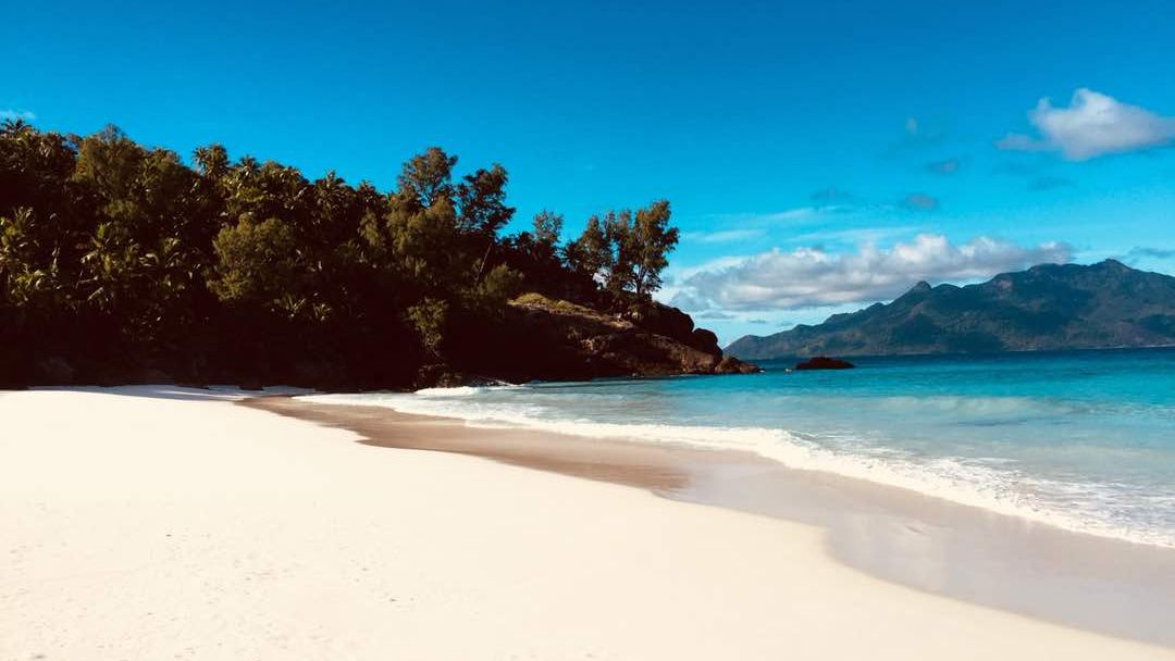 freiwilligenarbeit-seychellen-erfahrungsbericht-artenschutz-kundenfotos-strand-natucate