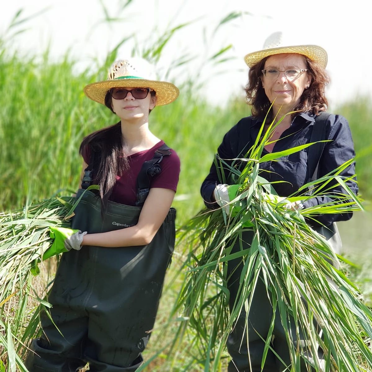 freiwilligenarbeit-spanien-naturschutz-natucate