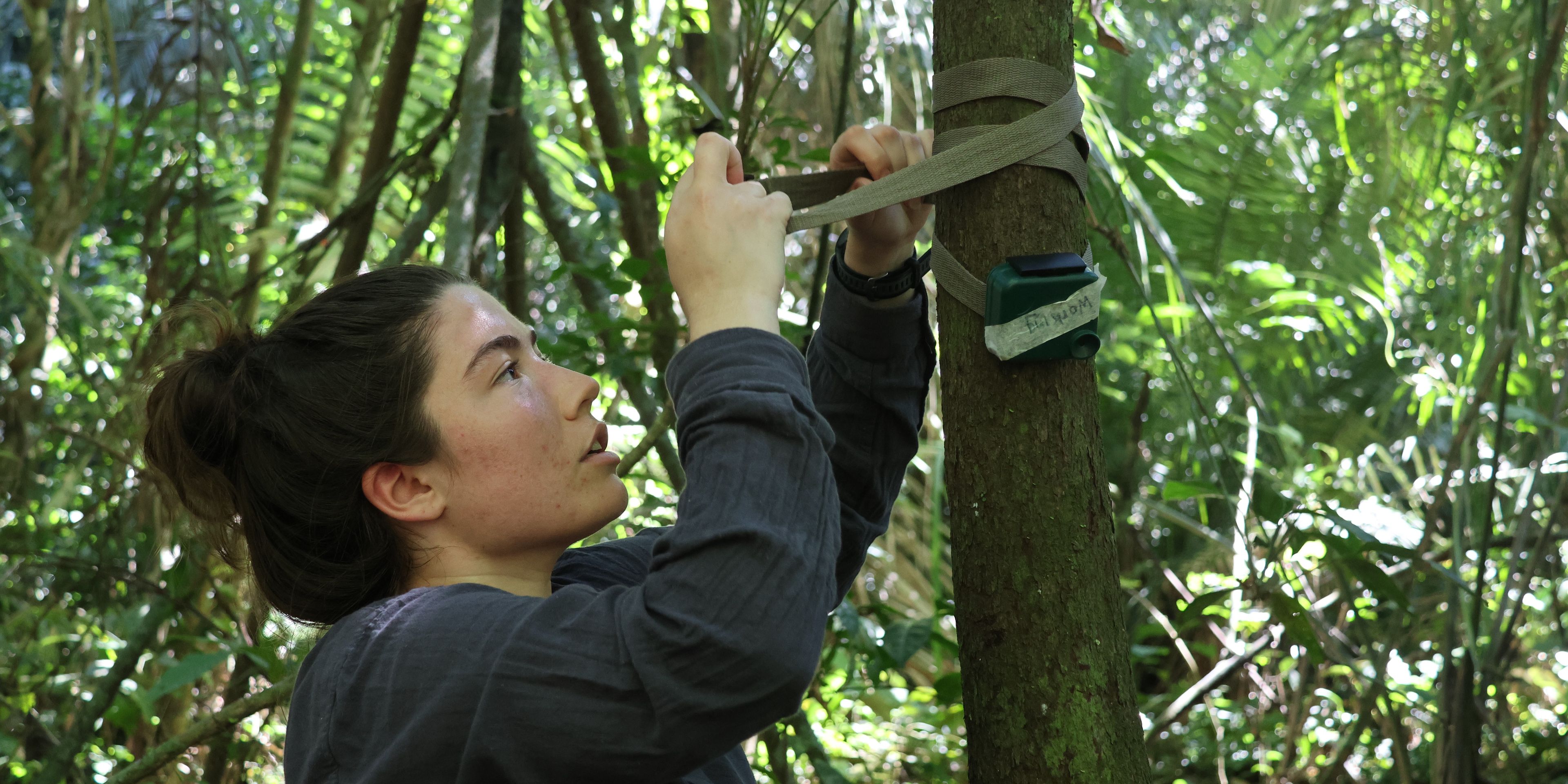 natucate-freiwilligenarbeit-peru-camera-trap