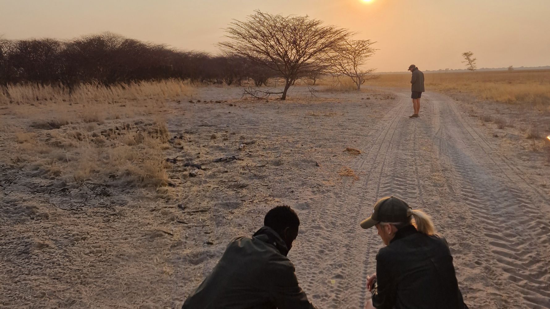 Idyntifying tracks in Ruaha