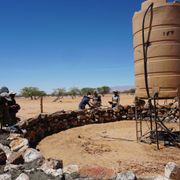 erfahrungsberichte-freiwilligenarbeit-namibia-elefanten-sabrina-build-week-natucate