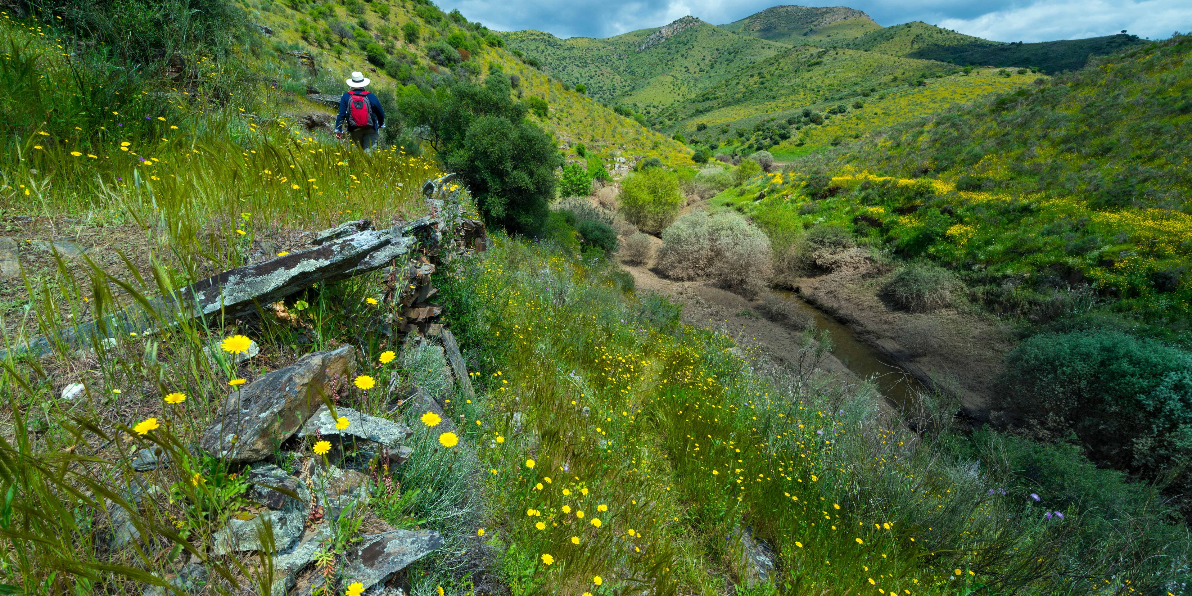 Nature Travel Portugal – Côa Valley Adventure ⋅ Natucate