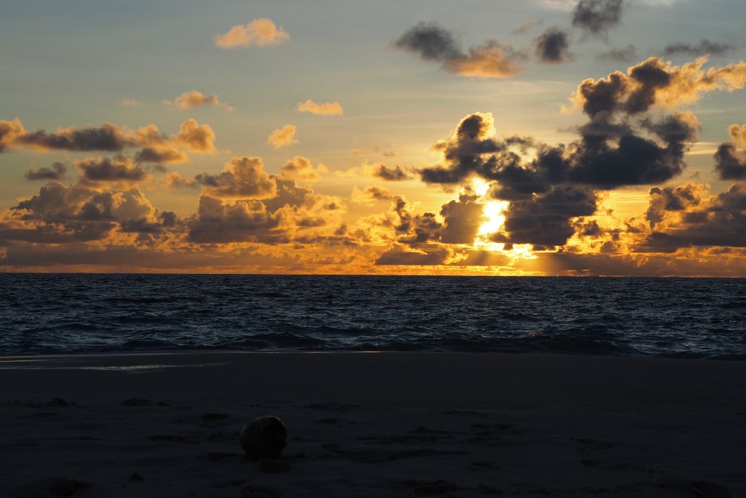 Die Teilnehmer eines Rangerkurses lassen den Tag unter Palmen am Meer ausklingen