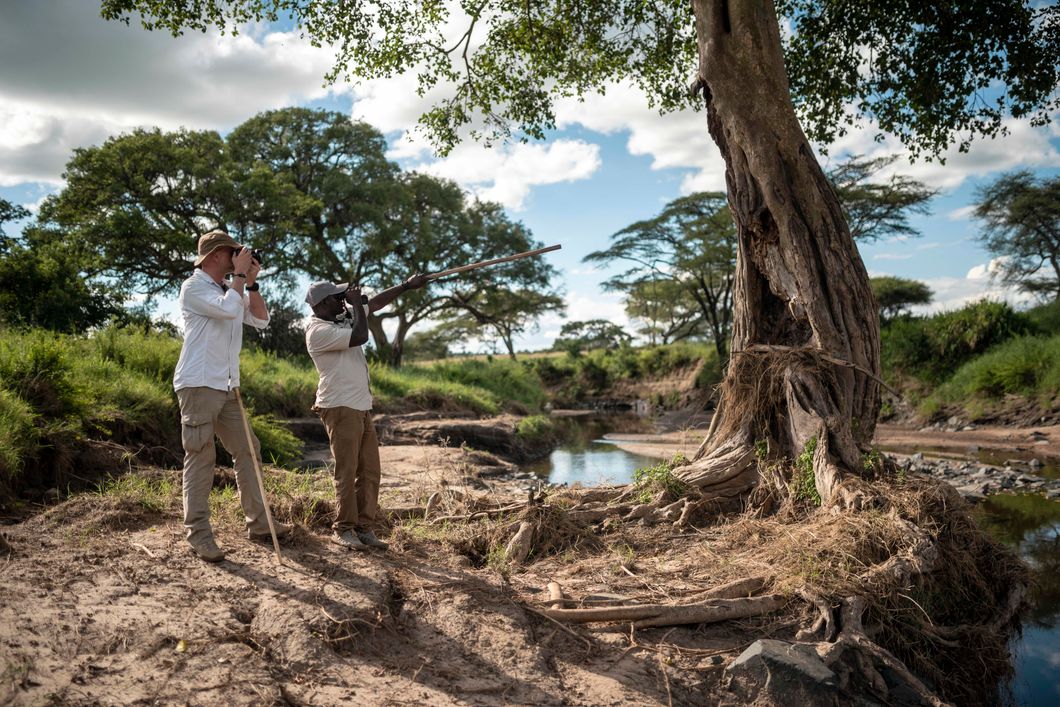 natur-und-rangerkurs-tansania-afrika-safariguide-activity-riverwalk-natucate