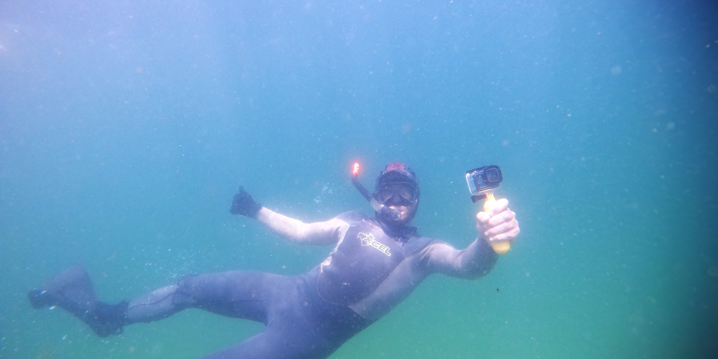 natucate-internship-south-africa-nature-valley-trust-forschung-unterwasser-tauchen