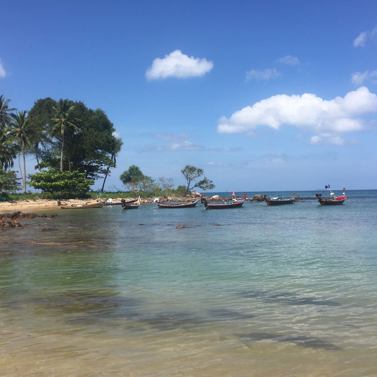 freiwilligenarbeit-thailand-erfahrungsbericht-tierschutz-meer-natucate