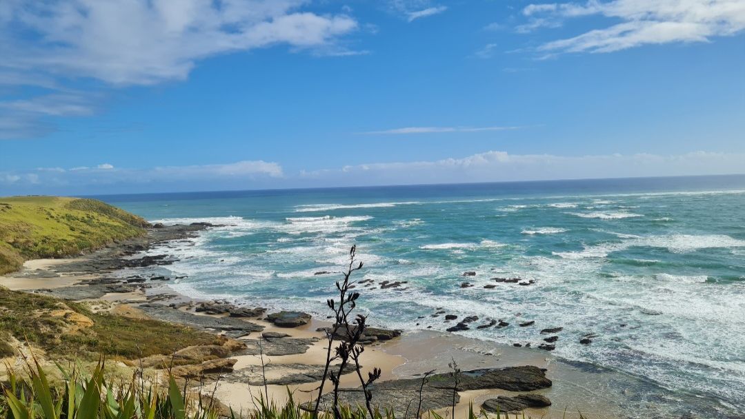 natucate-blog-review-volunteering-kauri-coast-ellie-coast-view