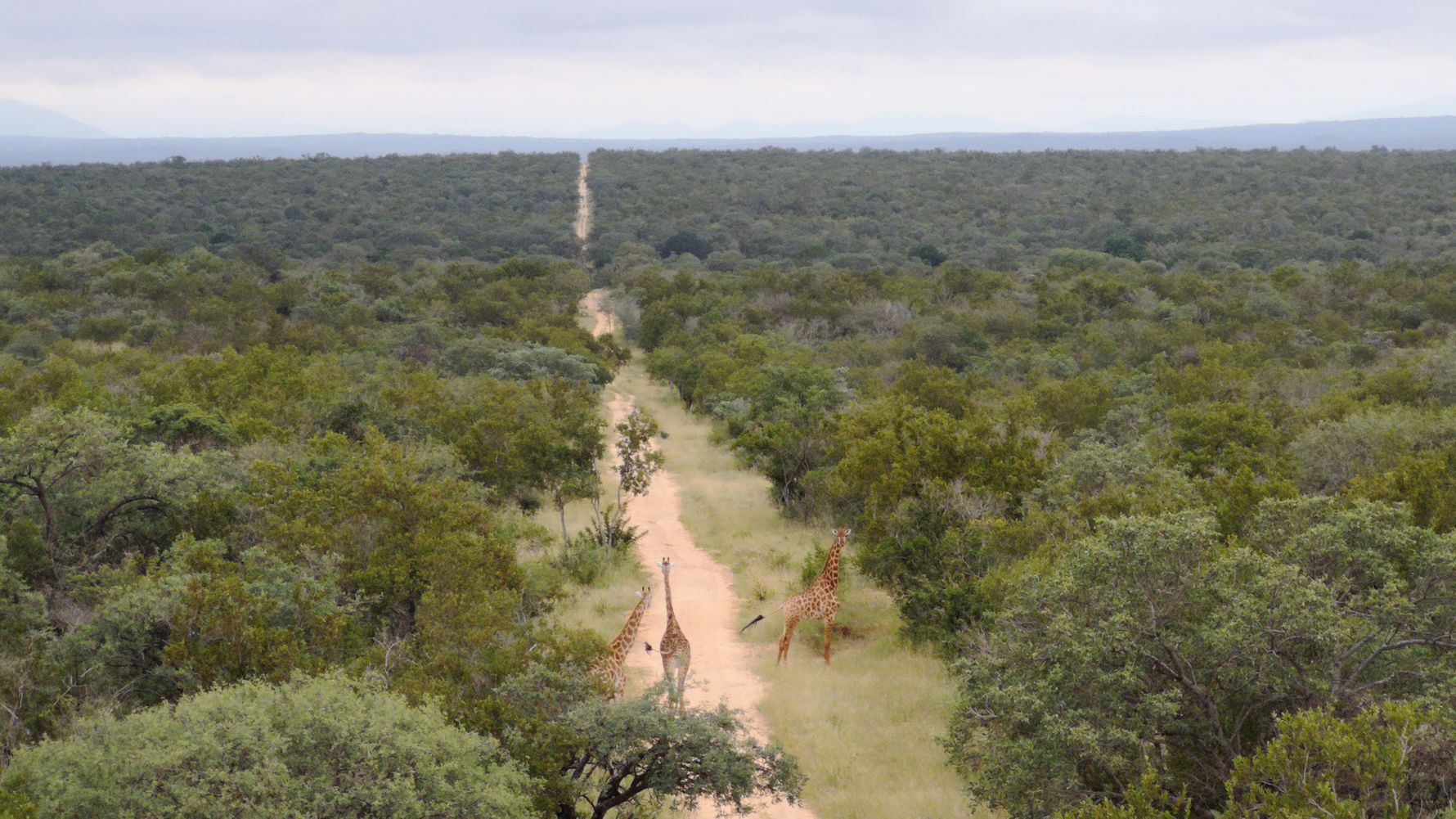 erfahrungsberichte-naturreise-suedafrika-ecoquest-caroline-aussicht-natucate
