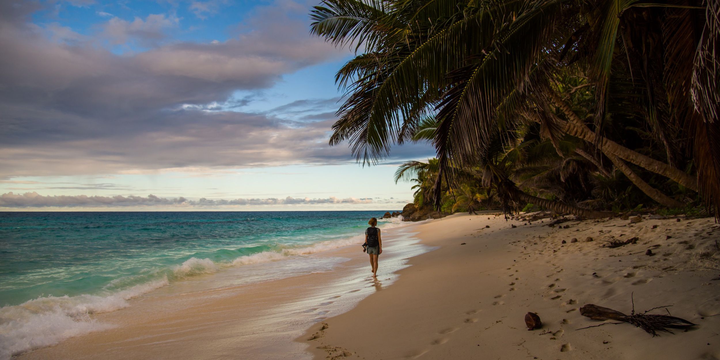 A volunteer in our species conservation project goes for a beach walk on North Island