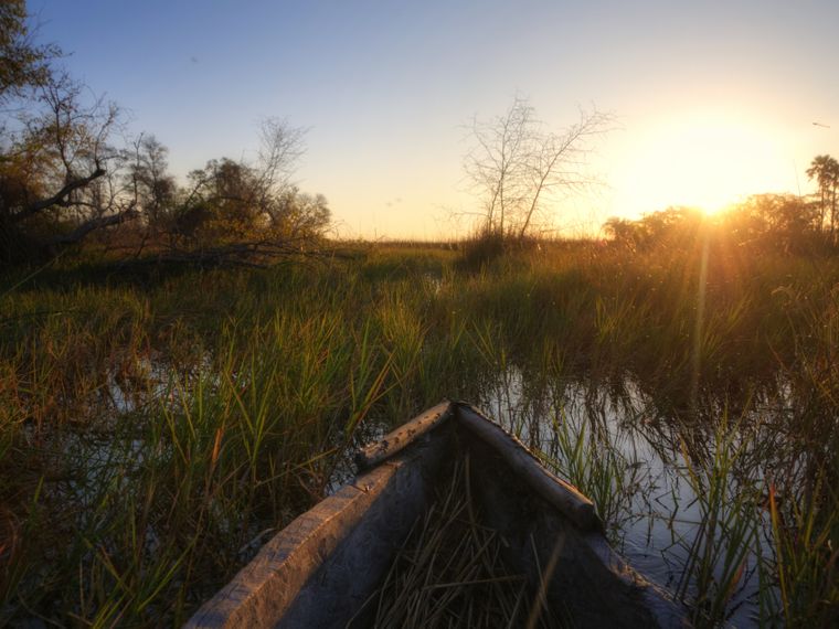 natur-und-rangerkurs-botswana-afrika-fieldguide-guide-mokoro-sonne-natucate