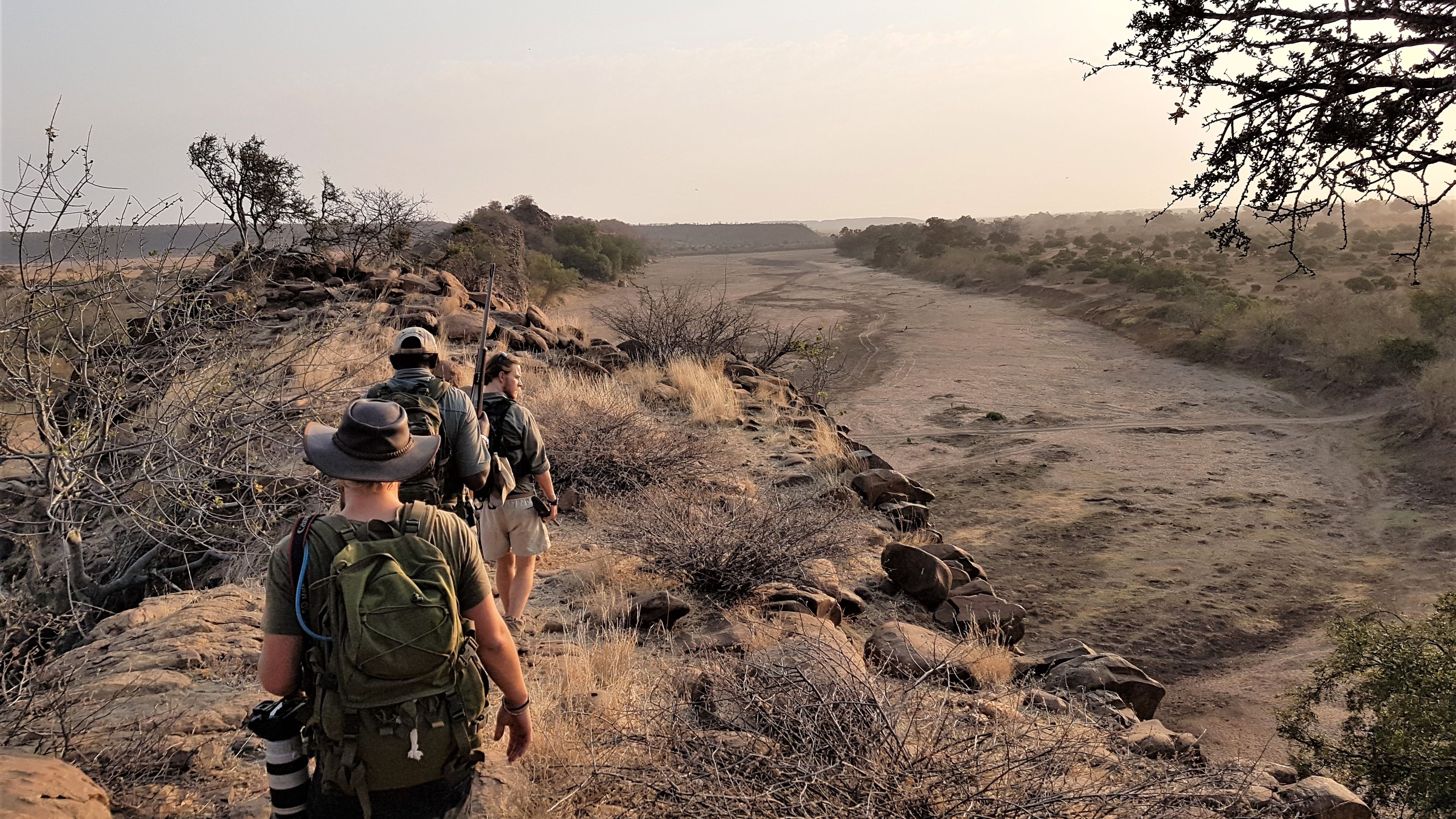 Sichtung von Wildtieren im afrikanischen Busch bei einer Pirschwanderung des Rangerkurses