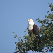 erfahrungsberichte-naturreise-afrika-private-wilderness-experience-marion-fischadler-natucate