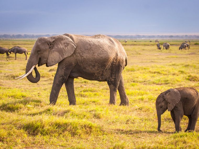 natucate-reise-sabbatical-suedliches-afrika-titelbild