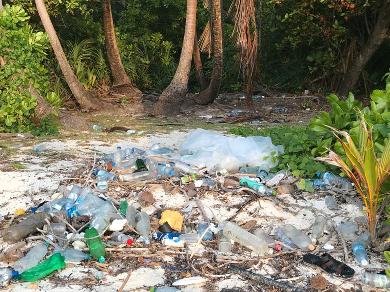 Nachhaltiges Reisen Zero Waste: Angeschwemmter Plastikmuell