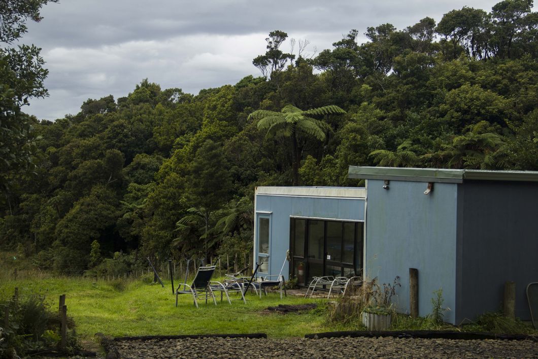Volunteerunterkunft mit Aussenbereich unseres Naturschutzprojekts an Neuseelands Kauri Coast
