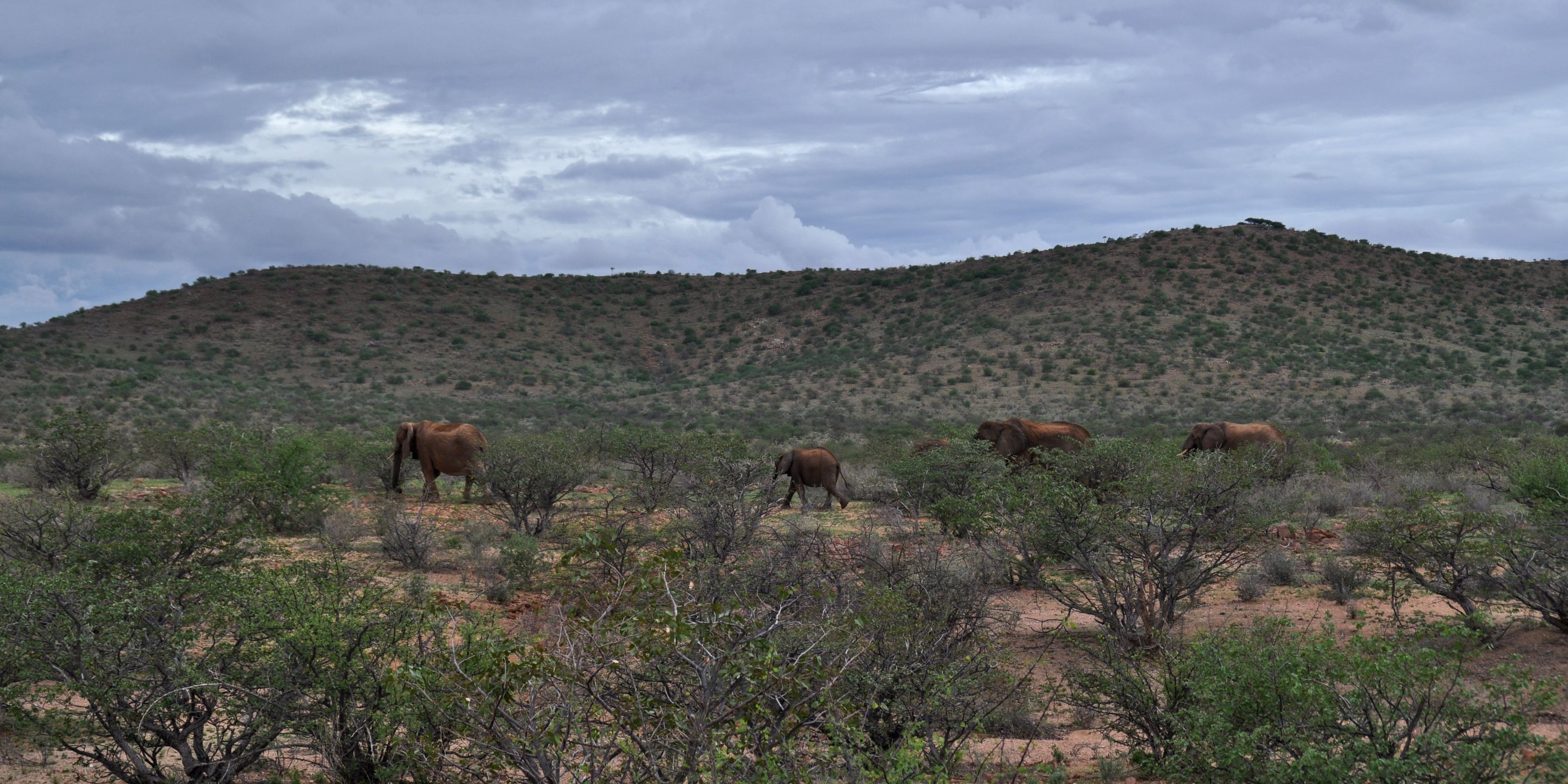 sabbatical-namibia-seychellen-wueste-wasser-elefanten-savanne-natucate