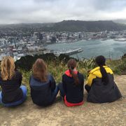 Freiwilligenarbeit in Neuseeland: Vier Volunteere sitzen auf erhoeter Position mit Blick auf Hafen und Stadt von Wellington