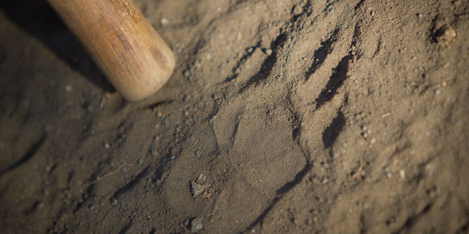 naturkurs-suedafrika-ecotracker-wildlife-monitoring-spur-erde-natucate