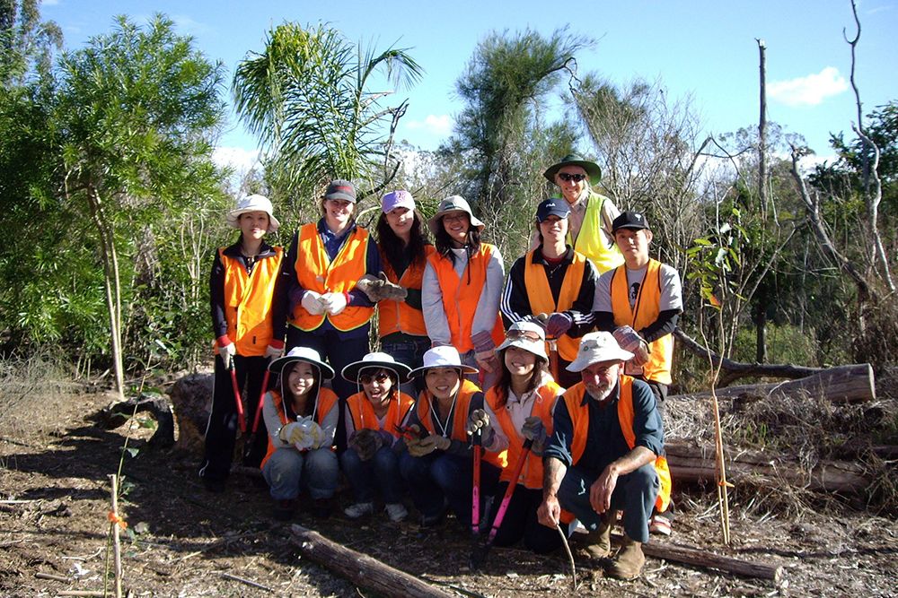 naturreise-koalaschutz-australien-freiwilligenteam-arbeit-naturschutz-natucate