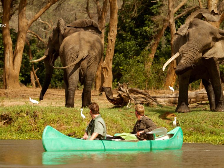 blog-ratgeber-sambia-tusk-and-mane-camp-kanutour-natucate