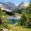 Conifer stands on the edge of a lake in front of the mountains in the National Park Du Mercantour