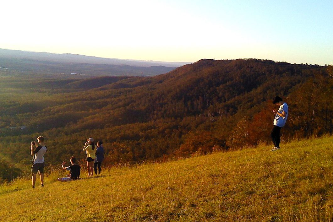 naturreise-koalaschutz-australien-aussicht-regenwald-sonne-australien-natucate