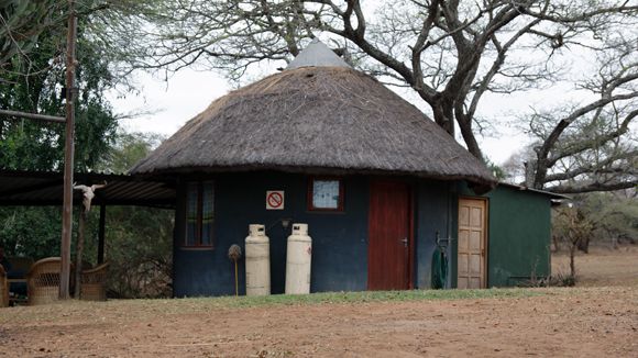 freiwilligenarbeit-suedafrika-tierschutz-projektbesuch