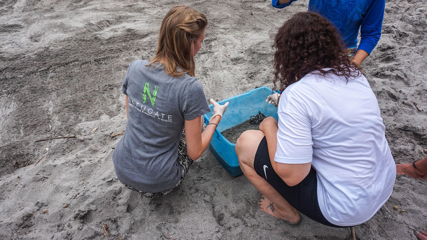 erfahrunsgbericht-costa-rica-praktikum-kundenfotos-artenschutz-schildkroete-natucate