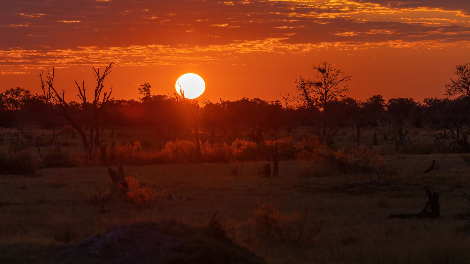 natucate-blog-erfahrungsbericht-pwe-wesley-sonnenuntergang