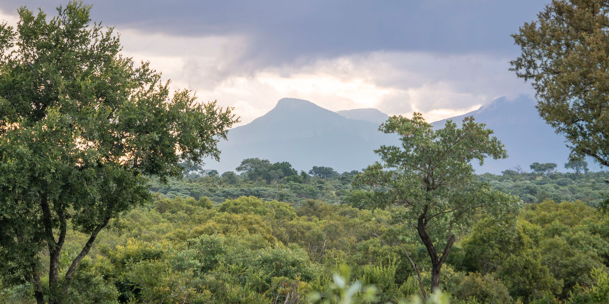 Landschaft in Südafrika
