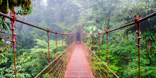 coasta-rica-laenderinformationen-bruecke-regenwald-natucate