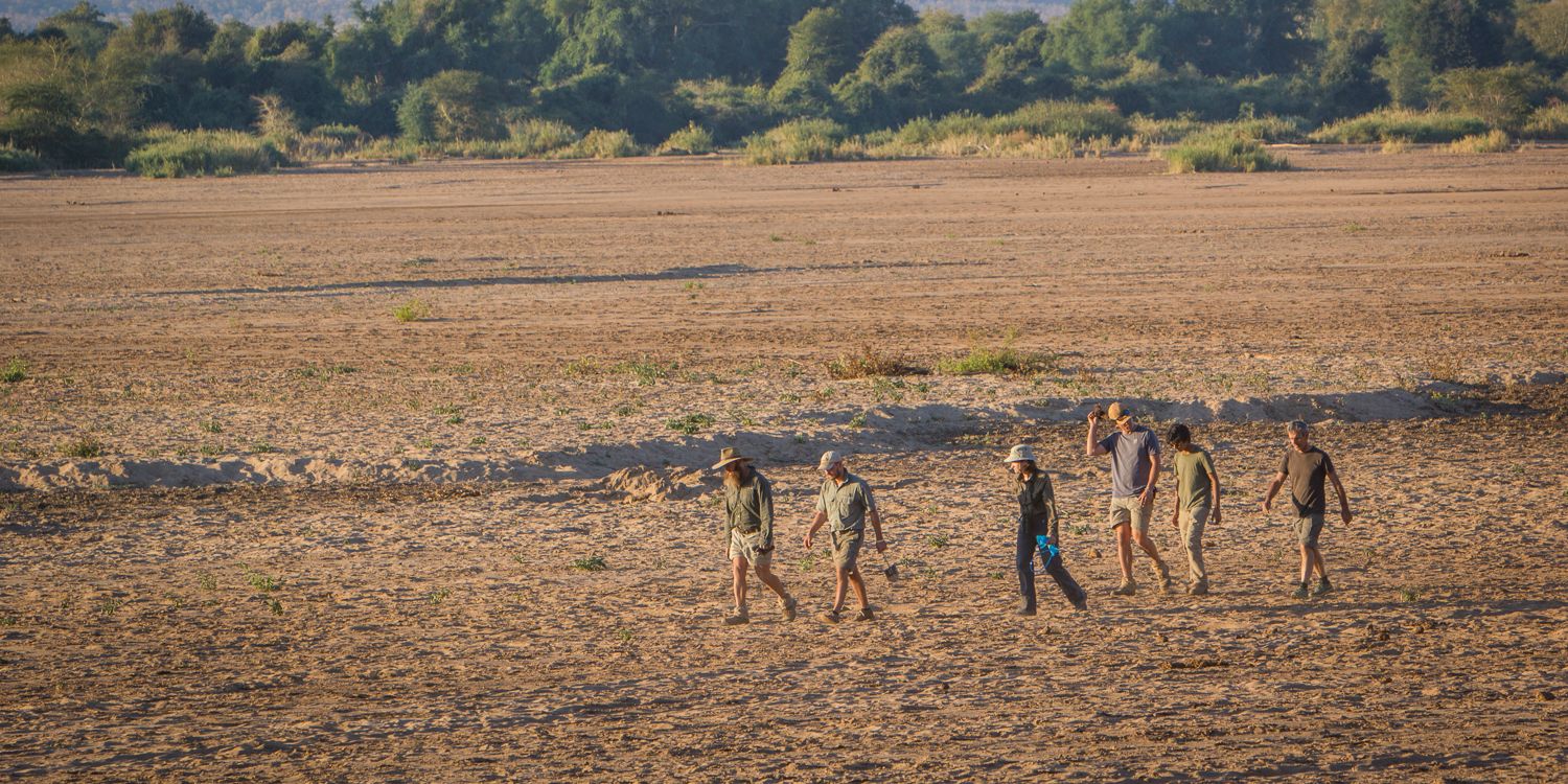 naturkurs-suedafrika-ecotracker-wildlife-monitoring-pirschgang-natucate