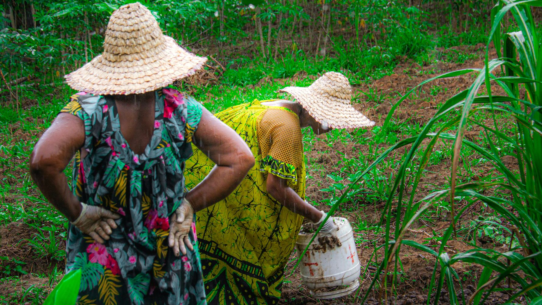 Women farming