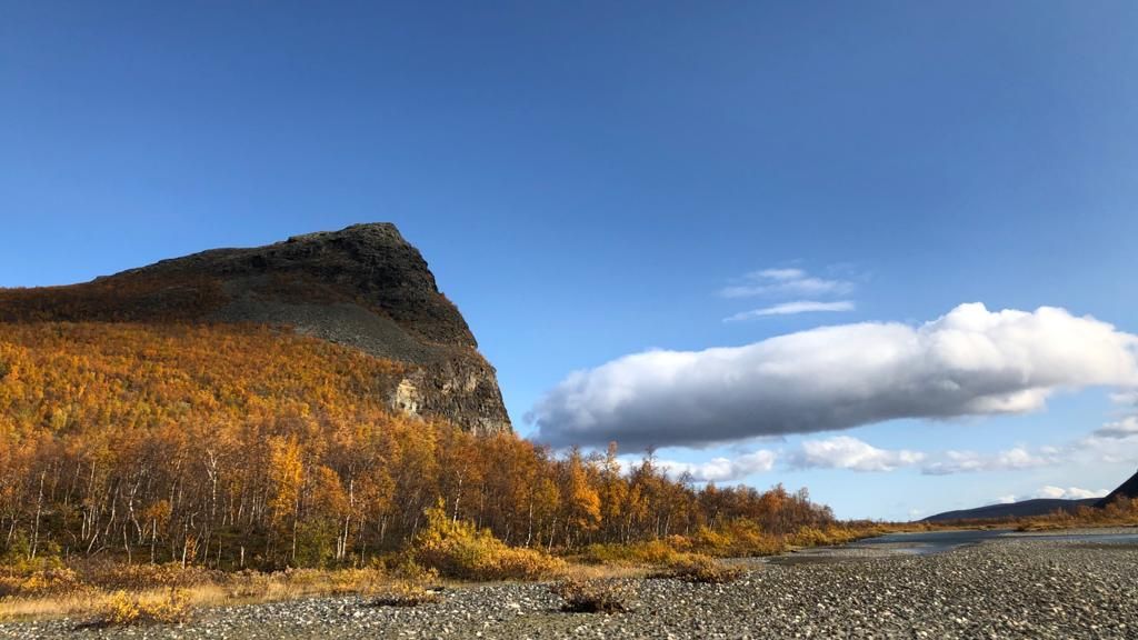 laenderinformationen-schweden-natur-natucate