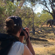 erfahrungsbericht-freiwilligenarbeit-namibia-rangerkurs-botswana-jacqueline-elefant-fotografie-natucate
