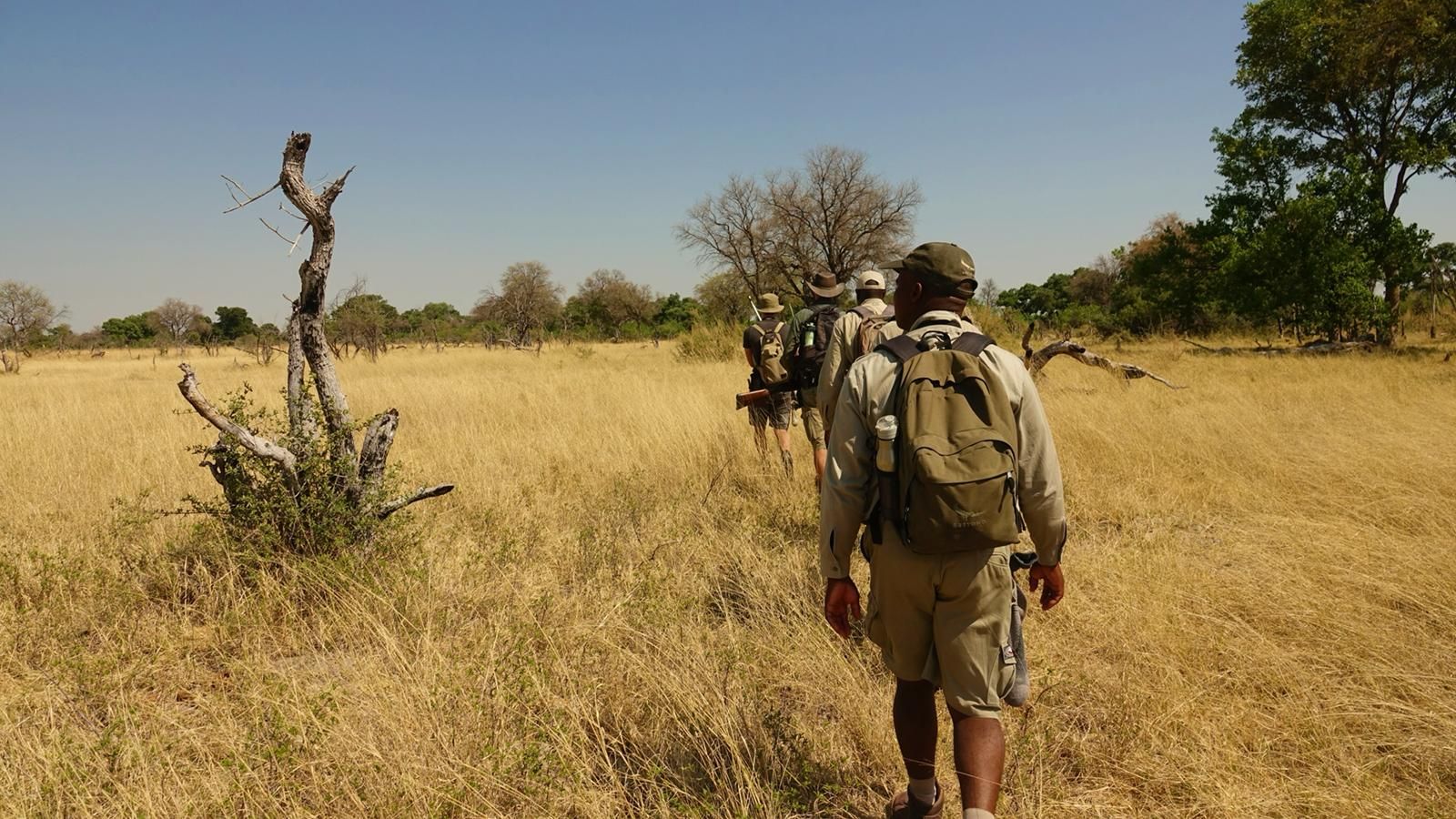 blog-ratgeber-gapyear-vorausetzungen-walking-safari-natucate