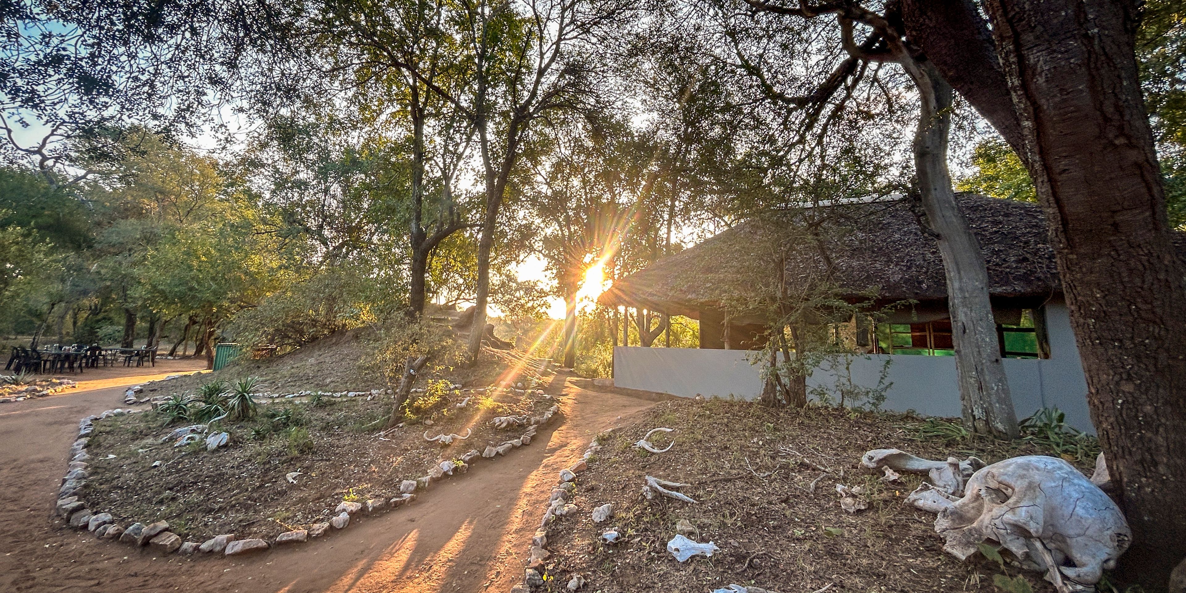 natucate-guide-courses-bushwise-selati-camp-sun