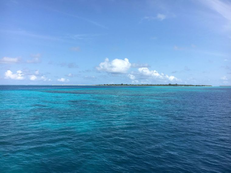 Walhaischutz auf den Malediven: Blick auf eine Insel de Malediven im Indischen Ozean