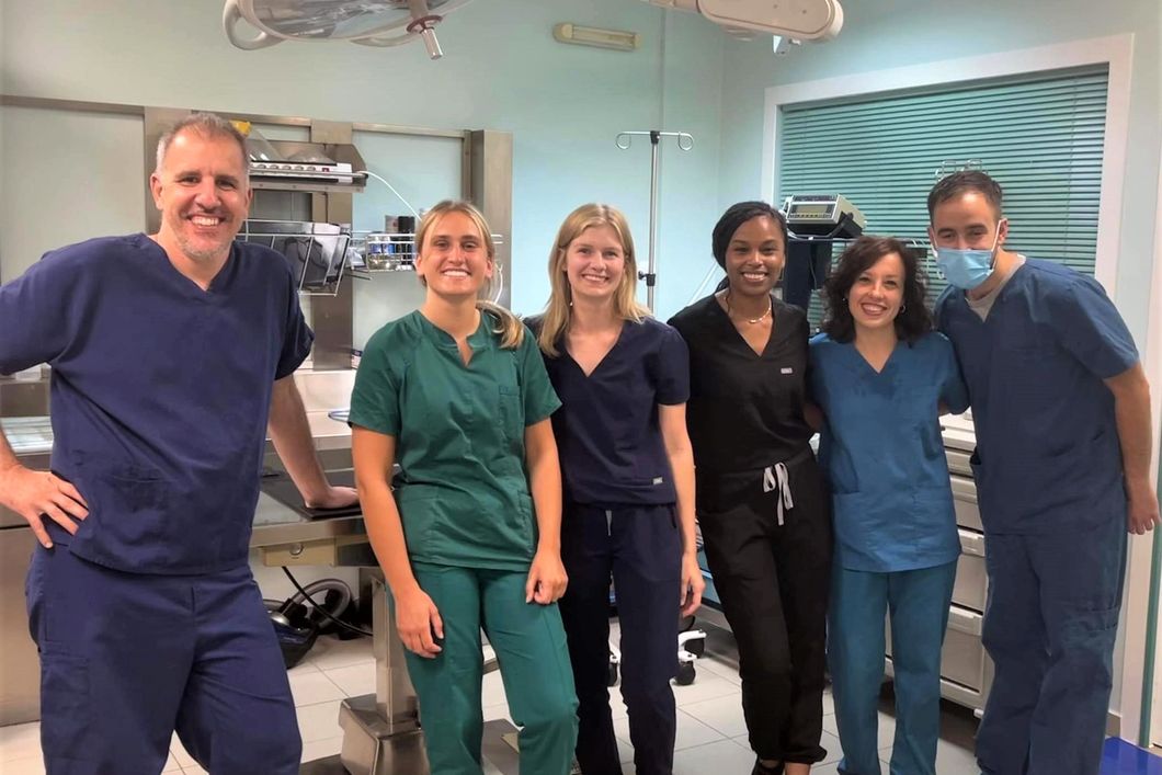 praktikum-griechenland-katzen-tiermedizin-weiterbildung