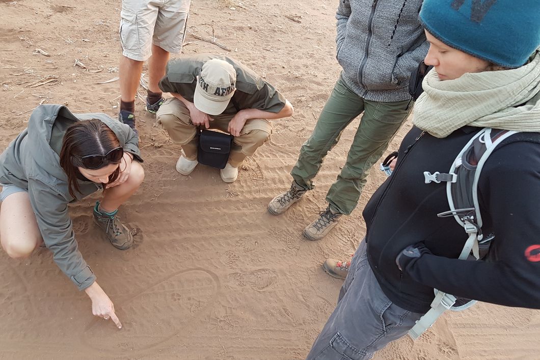 Eine Gruppe von Teilnehmern hockt zusammen mit dem Guide am Boden und liest Spuren im Sand
