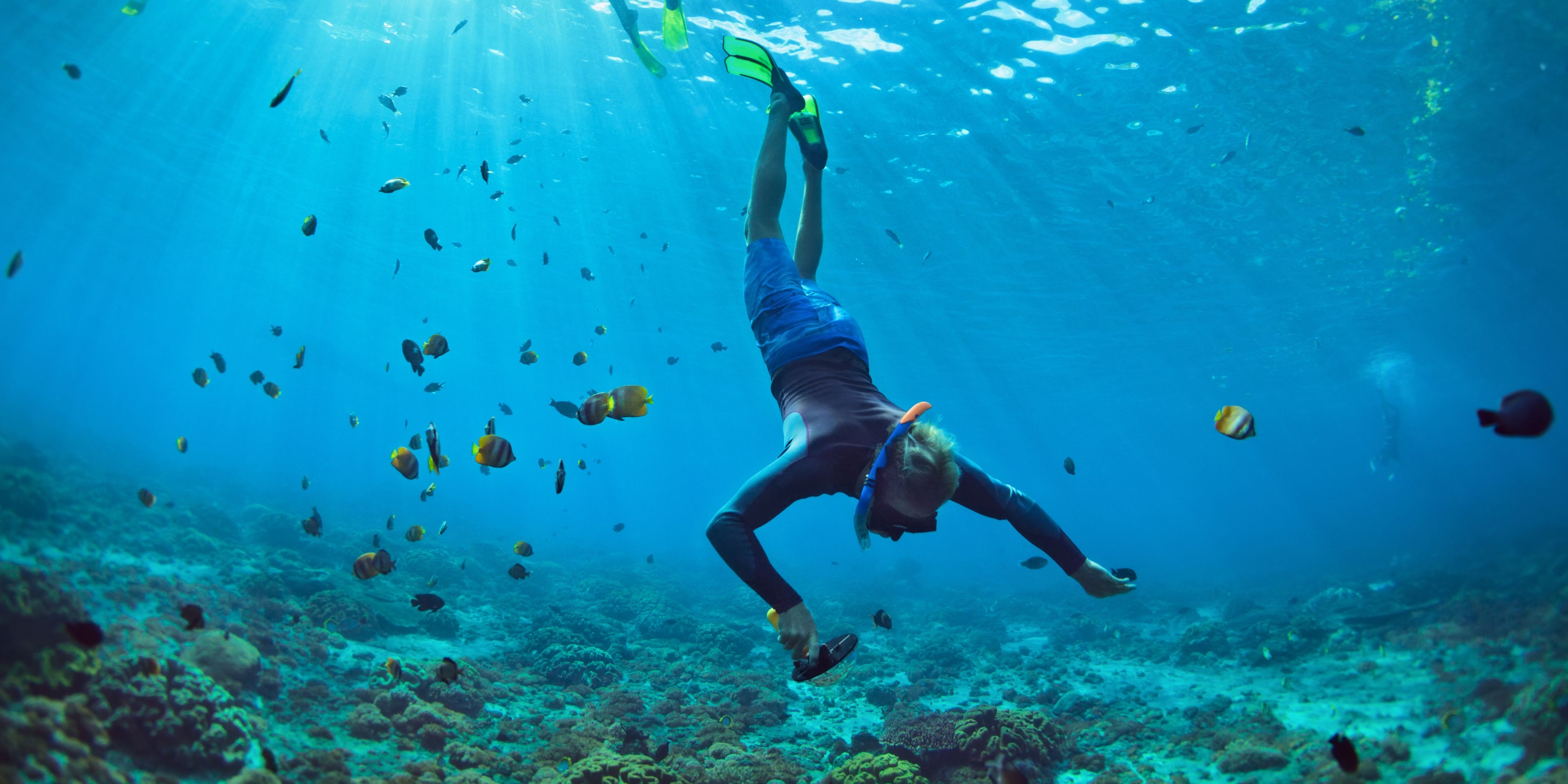 Diver underwater with fish