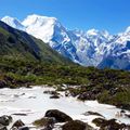 Unterhalb der Schneegrenze des Himalays ist das Land gruen und voller Leben