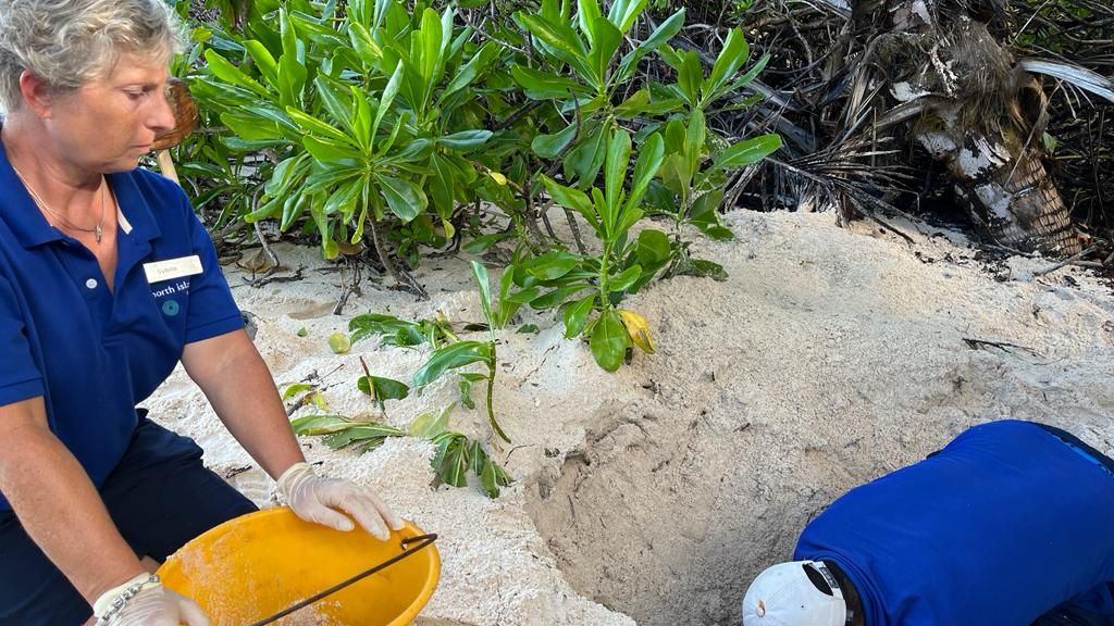 natucate-erfahrungsbericht-seychellen-north-island-sybille-schildkrotennest-hilfe
