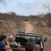 erfahrungsberichte-rangerkurse-field-guide-level-1-kea-nashorn