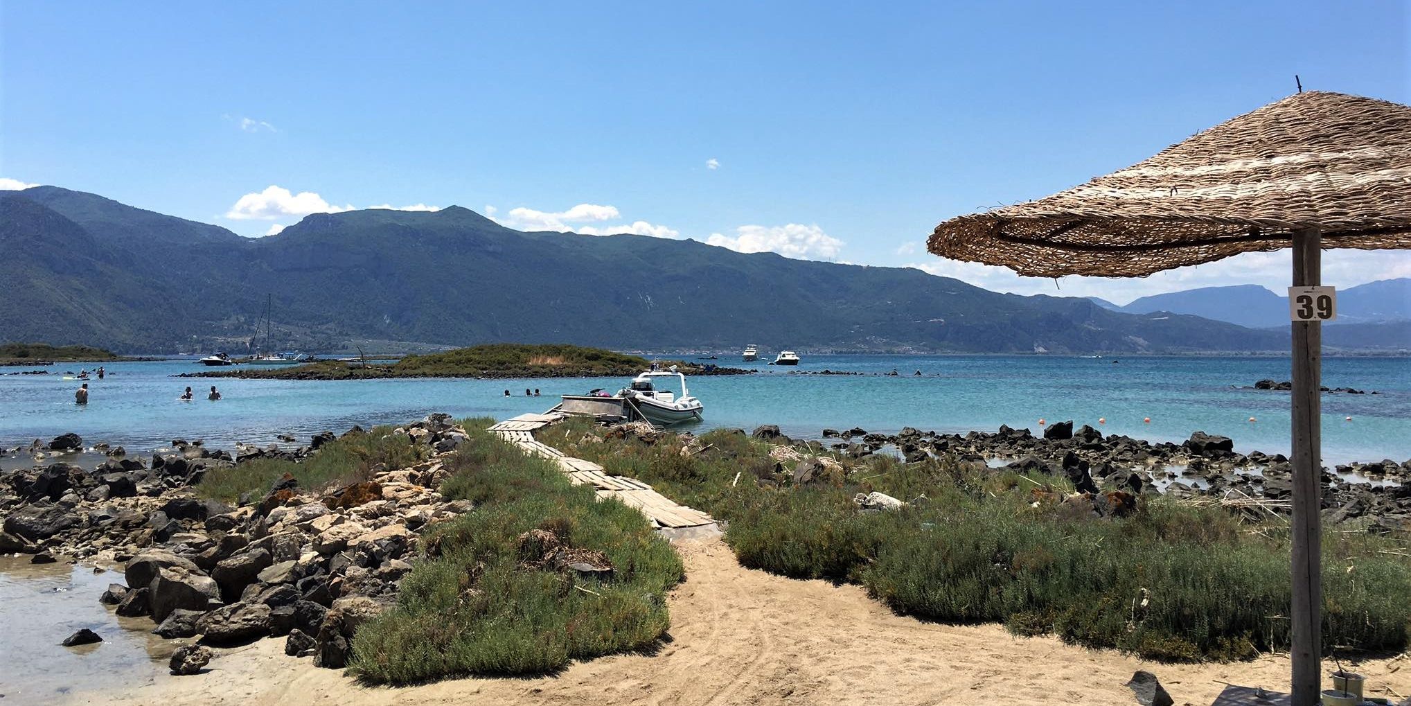 praktikum-griechenland-katzen-tiermedizin-panorama