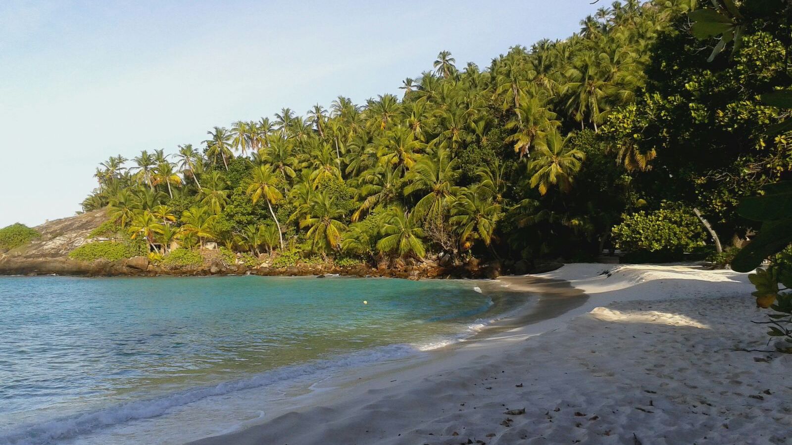freiwilligenarbeit-seychellen-erfahrungsbericht-artenschutz-kundenfotos-bucht-natucate