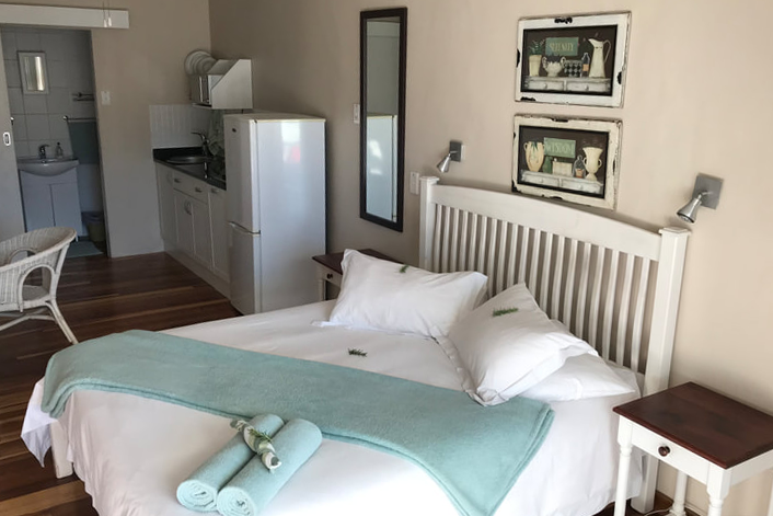 freiwilligenarbeit-suedafrika-artenschutz-mossel-bay-zimmer-2024