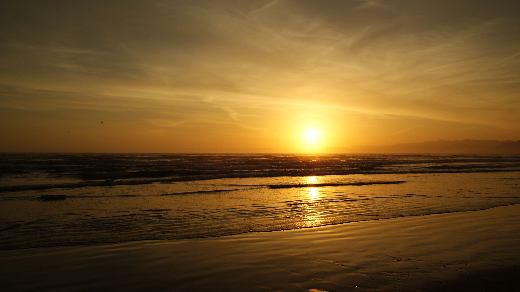 Naturguideausbildung: Sonnenaufgang am Horizont ueber dem Meer