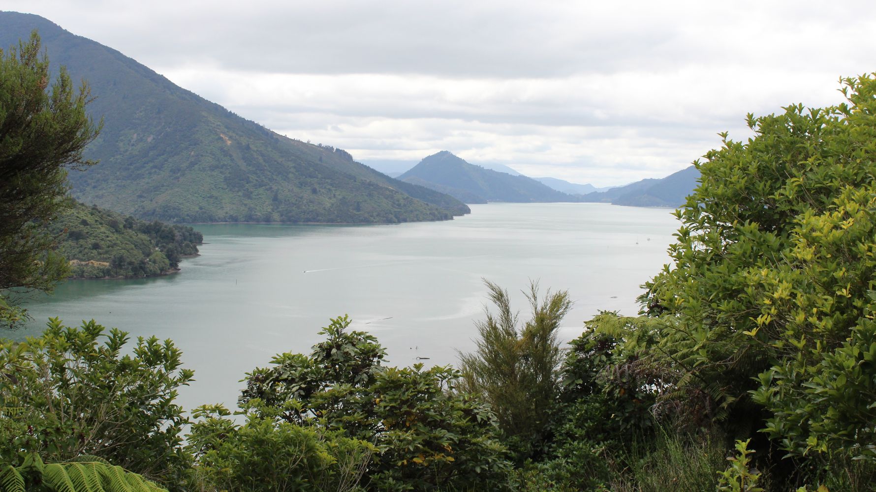 blog-ratgeber-neuseeland-insel-am-ende-der-welt-bucht-blog-natucate