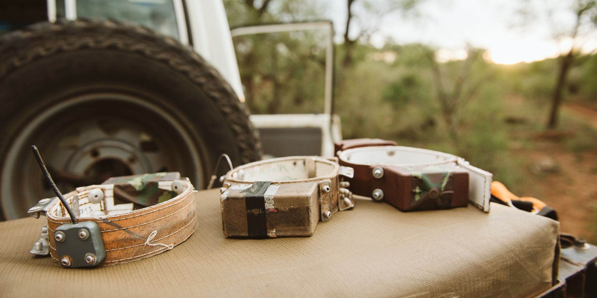 Three collars with GPS trackers for wildlife are on the 4x4 vehicle and are used in the conservation project to locate wildlife.